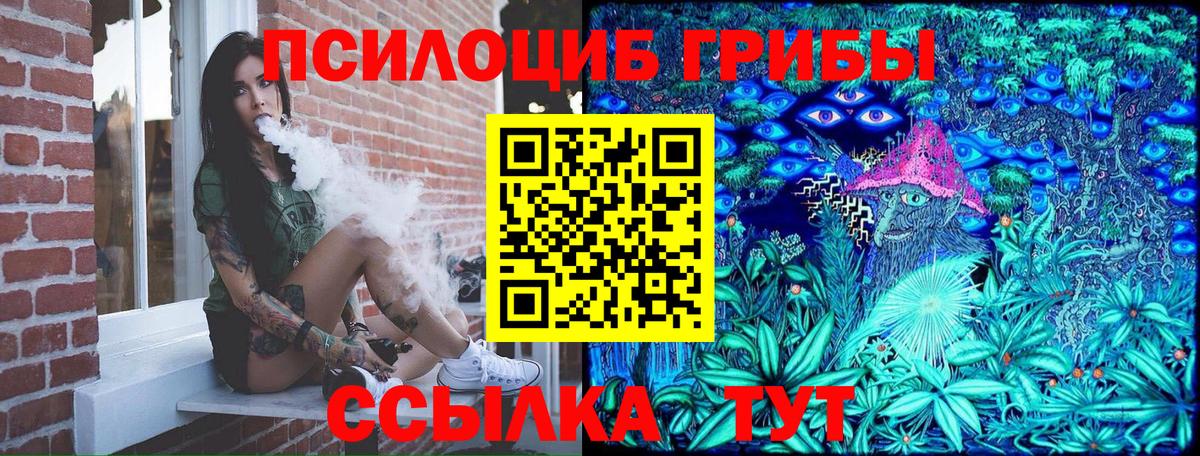 Псилоцибиновые грибы ЛСД  Вход с VPN  Севастополь  Псилоцибиновые грибы Psilocybe 