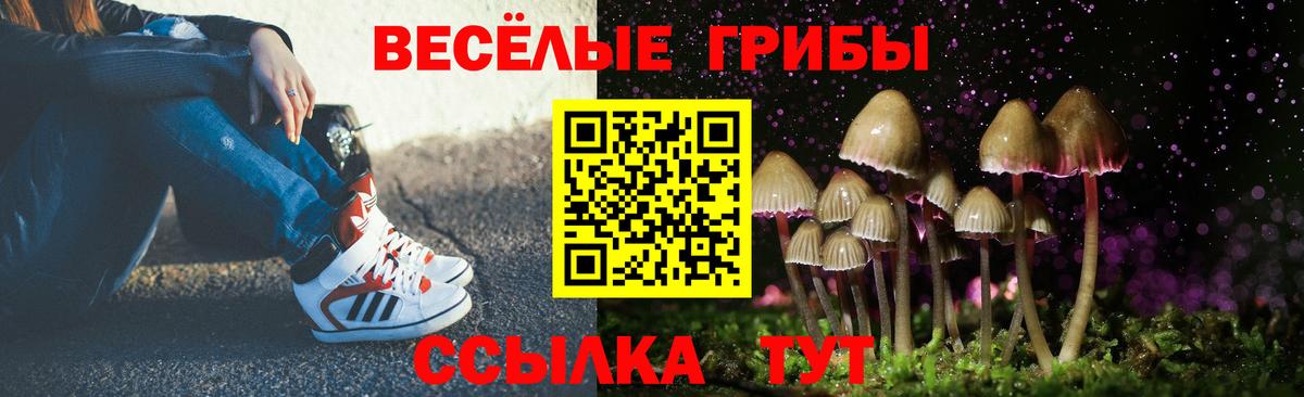 Псилоцибиновые грибы GOLDEN TEACHER Севастополь